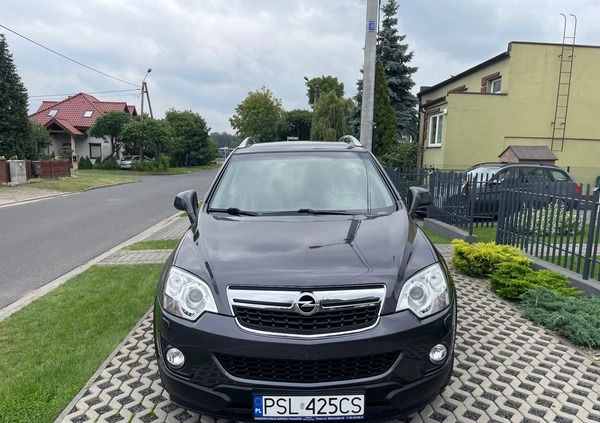 Opel Antara cena 44900 przebieg: 166000, rok produkcji 2014 z Słupca małe 352